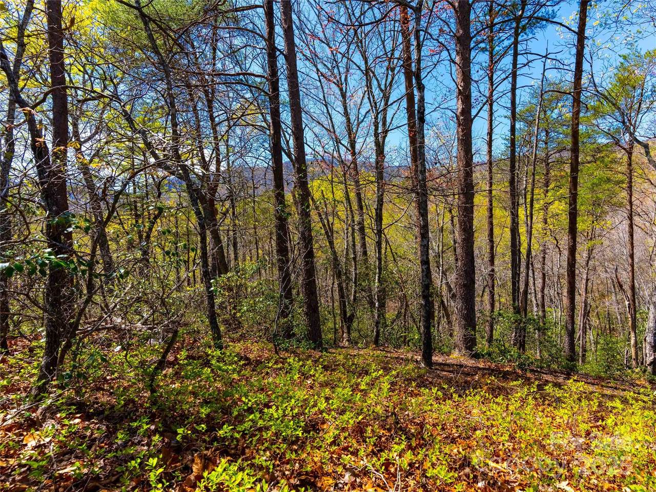 107 Deep Gap Road - Photo 1