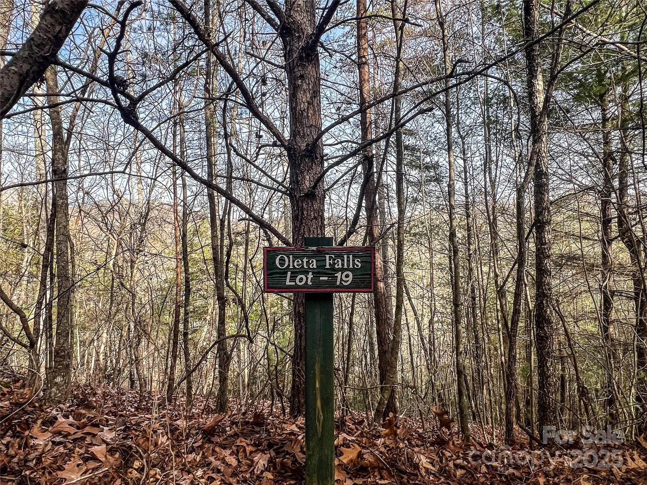 0000 Stepp Ridge Court - Photo 1