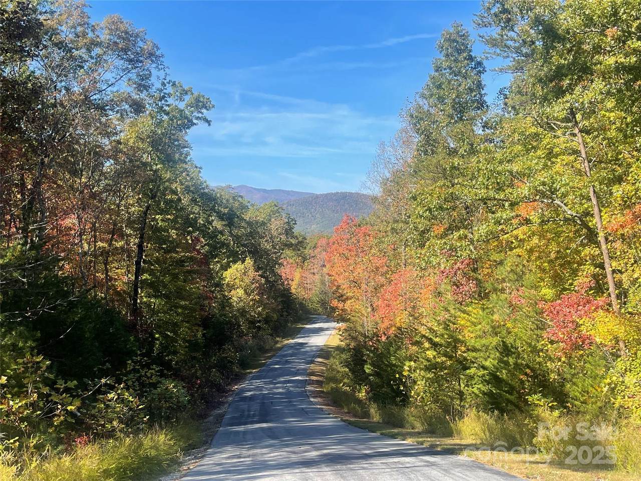 lot 46 Bald Eagle Lane - Photo 1