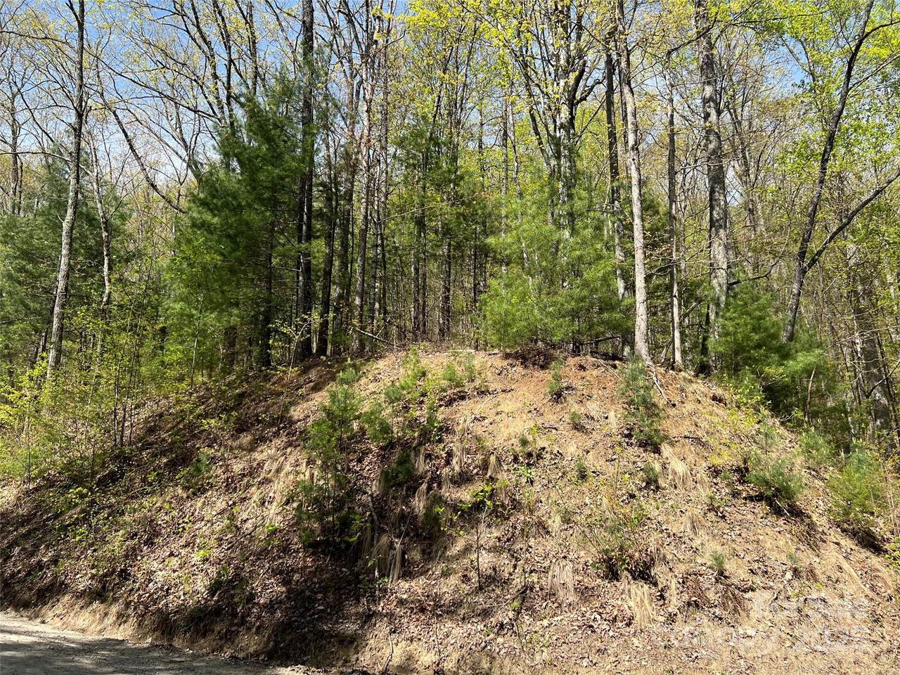 00 Hidden Trail - Photo 1