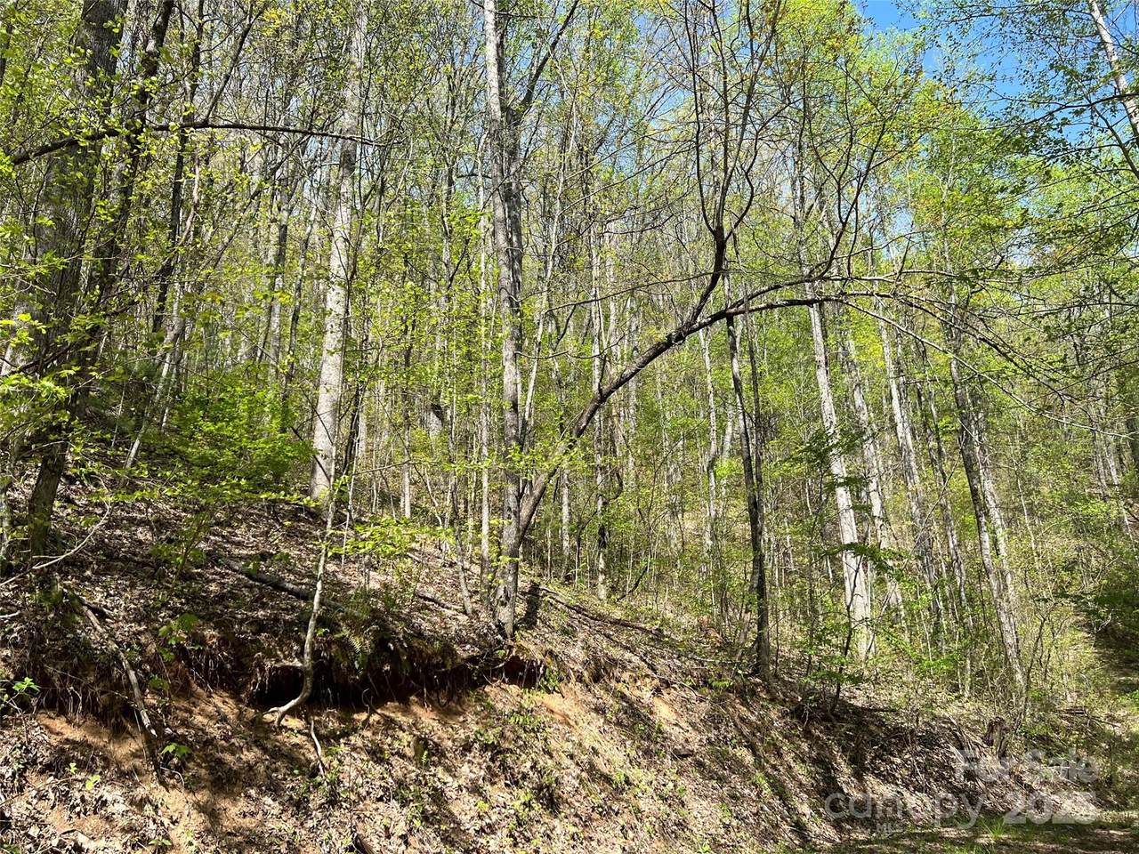 https://bt-photos.global.ssl.fastly.net/cmls/1280_boomver_1_4215487-1.jpg