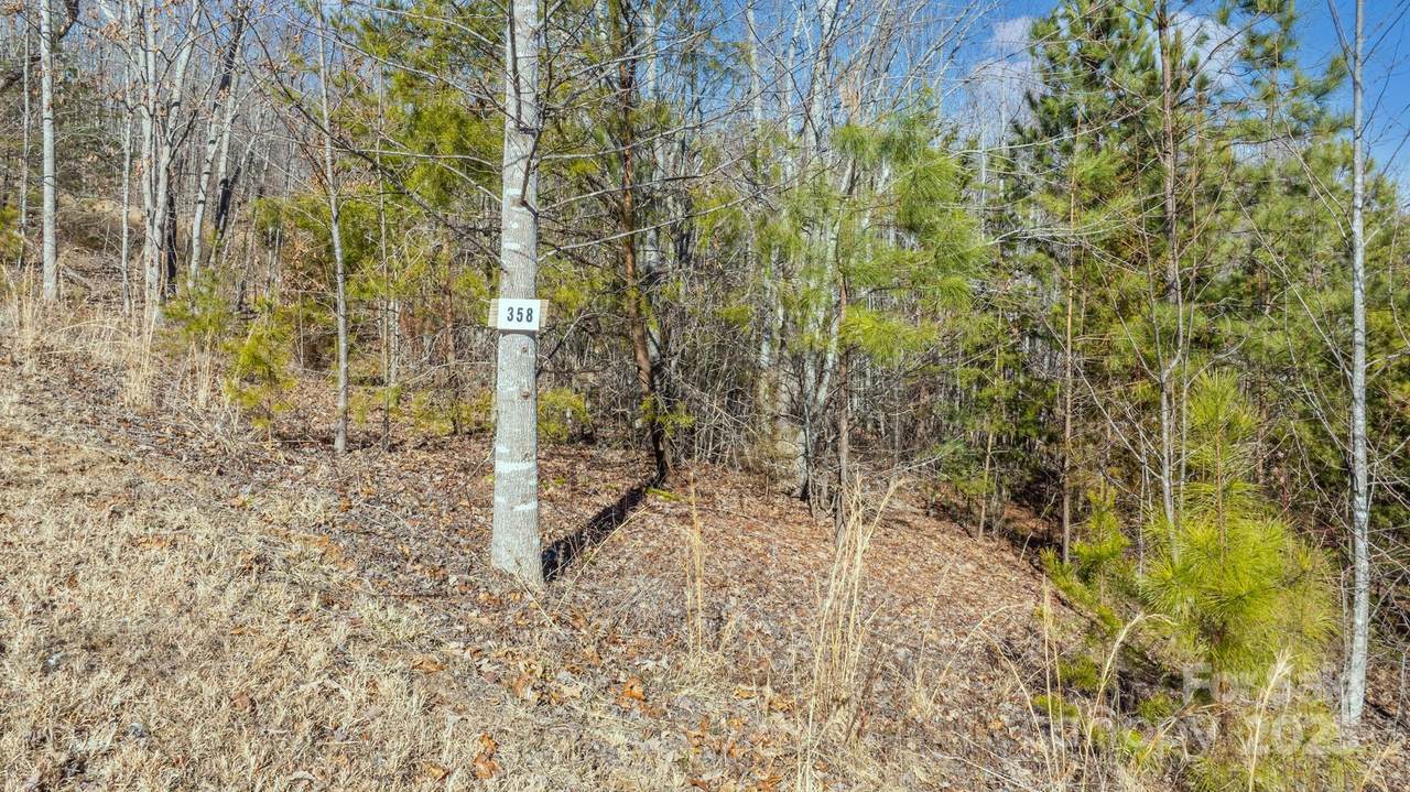 TBD Coal Pit Mountain Road - Photo 1