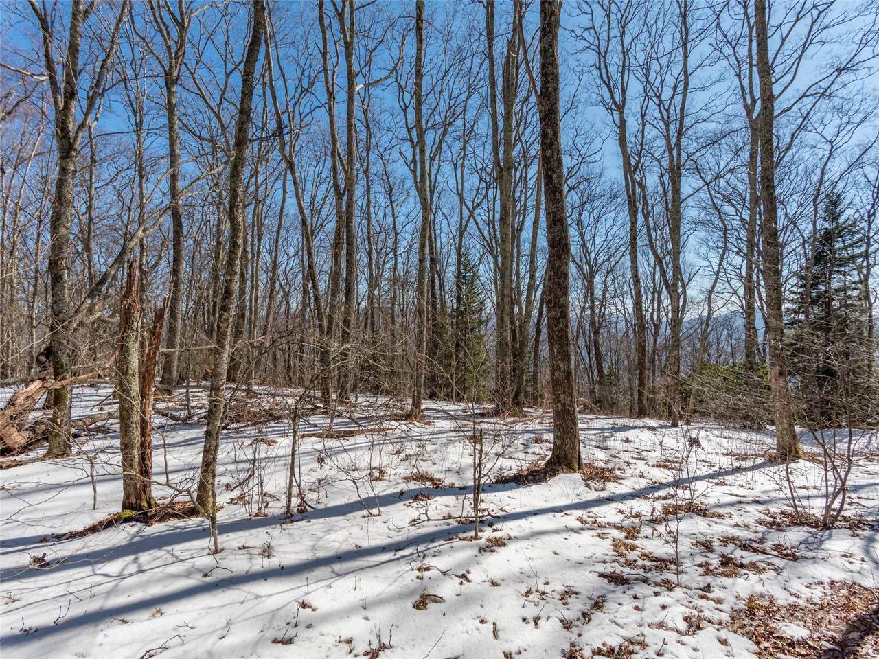 99999 Spruce Patch Lane - Photo 1
