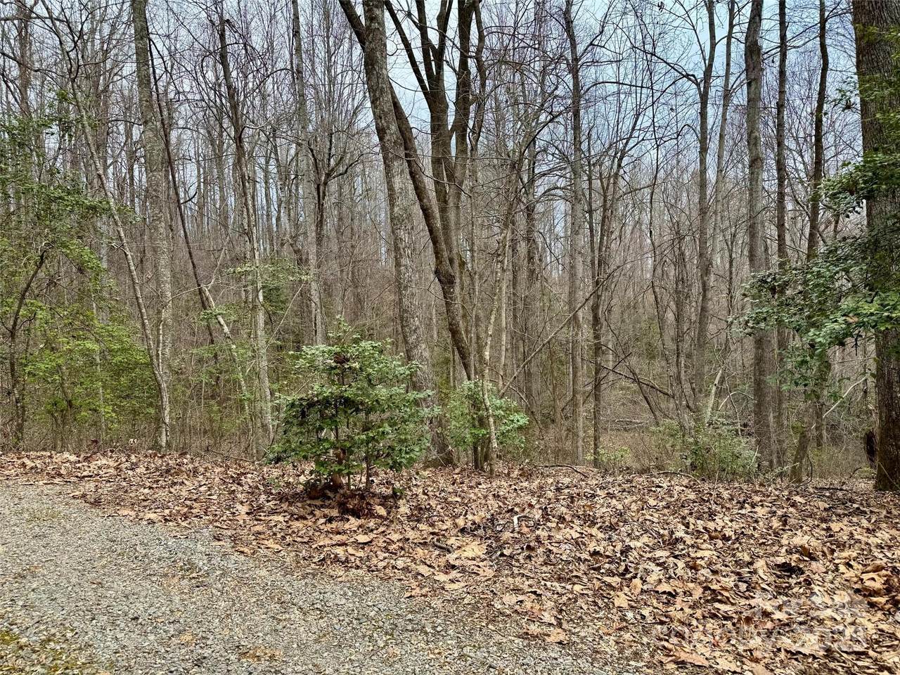 000 Orchard Mountain Road - Photo 1