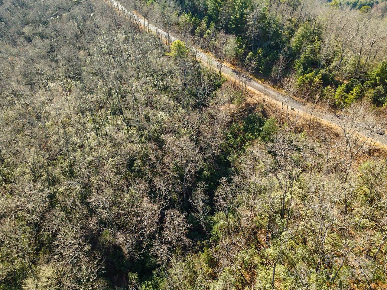 99999 Mills River Way - Photo 1
