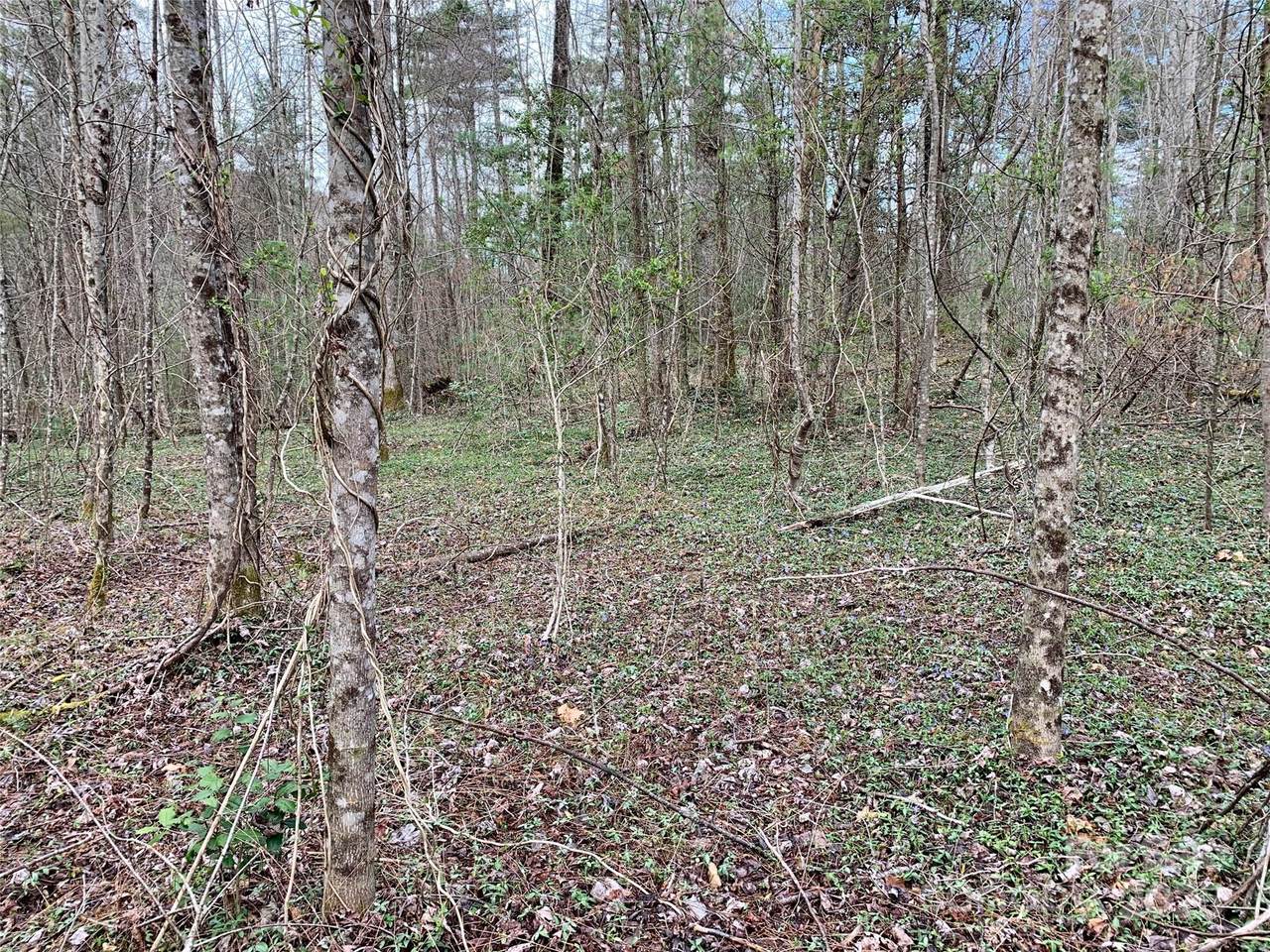 https://bt-photos.global.ssl.fastly.net/cmls/1280_boomver_1_4220630-1.jpg