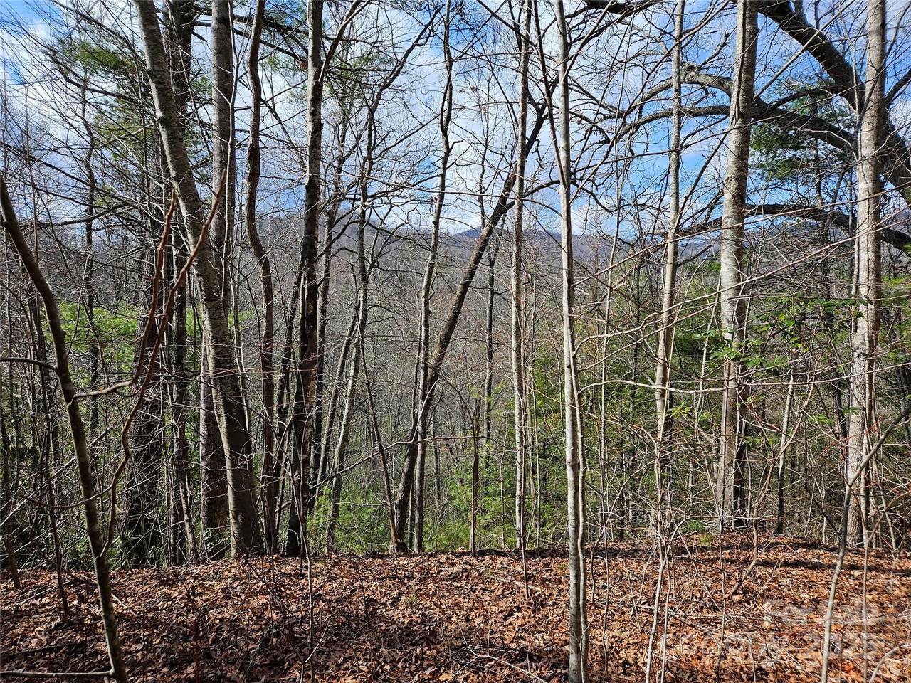 00 Wispy Willow Drive - Photo 1