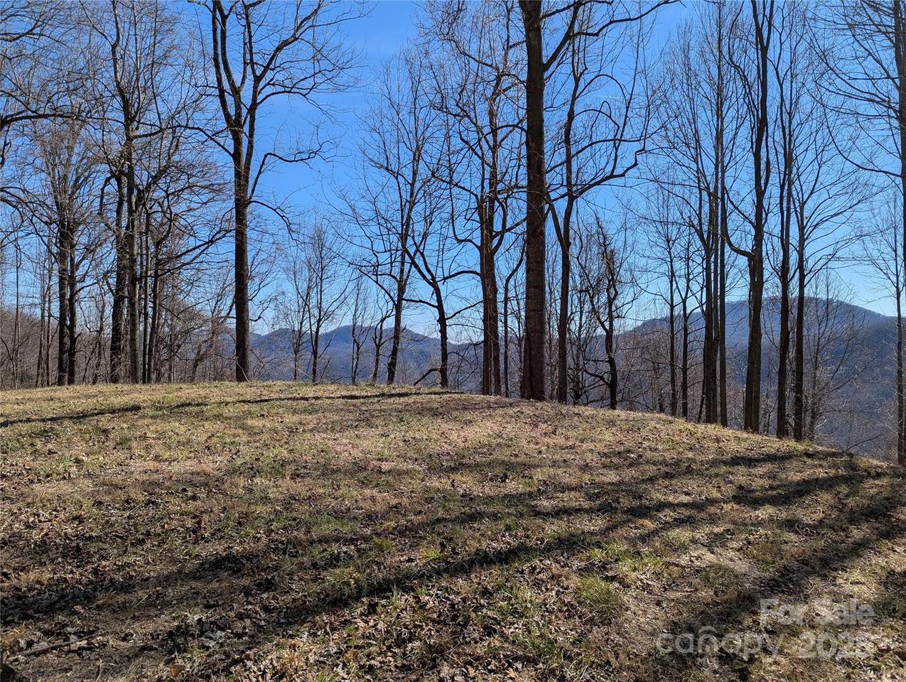 501 Warbler Lane - Photo 1