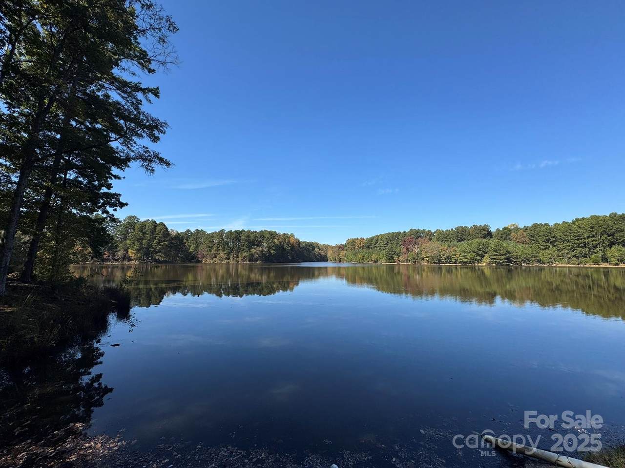 13828 Lake Bluff Drive - Photo 1