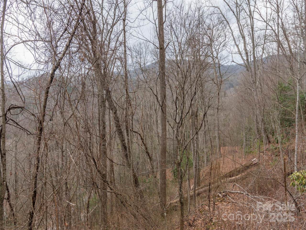 https://bt-photos.global.ssl.fastly.net/cmls/1280_boomver_1_4225270-1.jpg