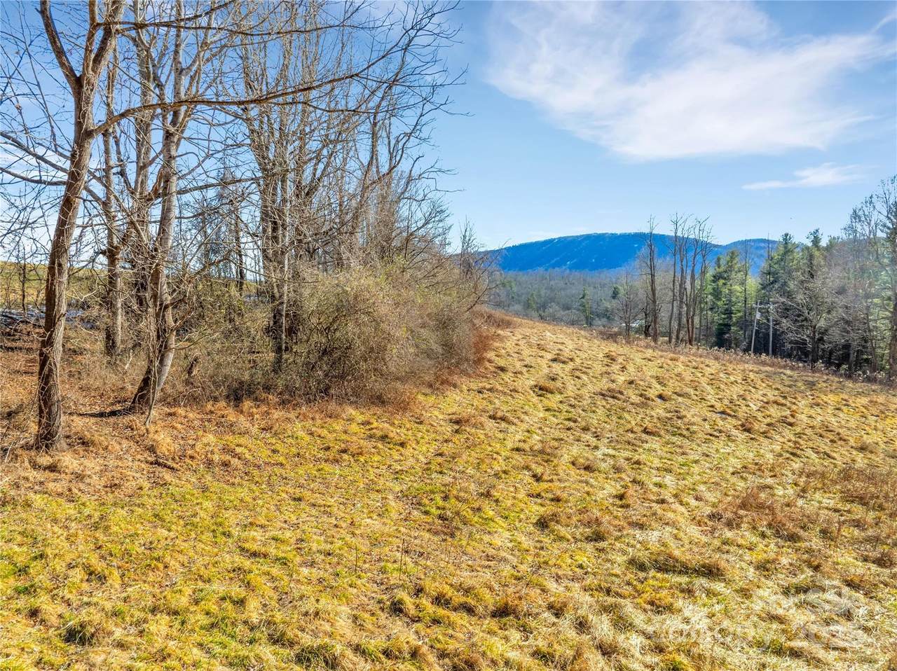 94 Ebenezer Trail - Photo 1