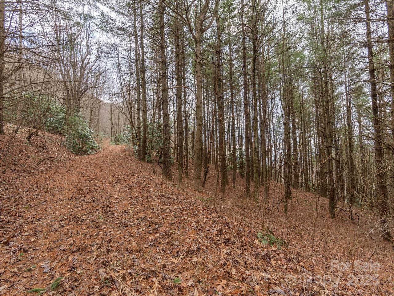 00 Bald Creek Road - Photo 1