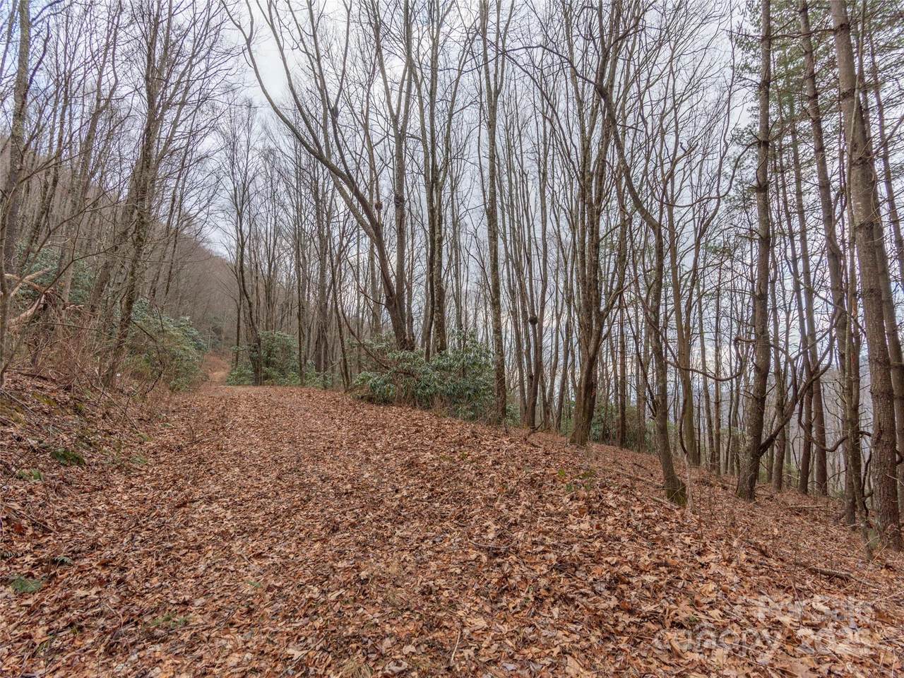 https://bt-photos.global.ssl.fastly.net/cmls/1280_boomver_1_4225414-1.jpg