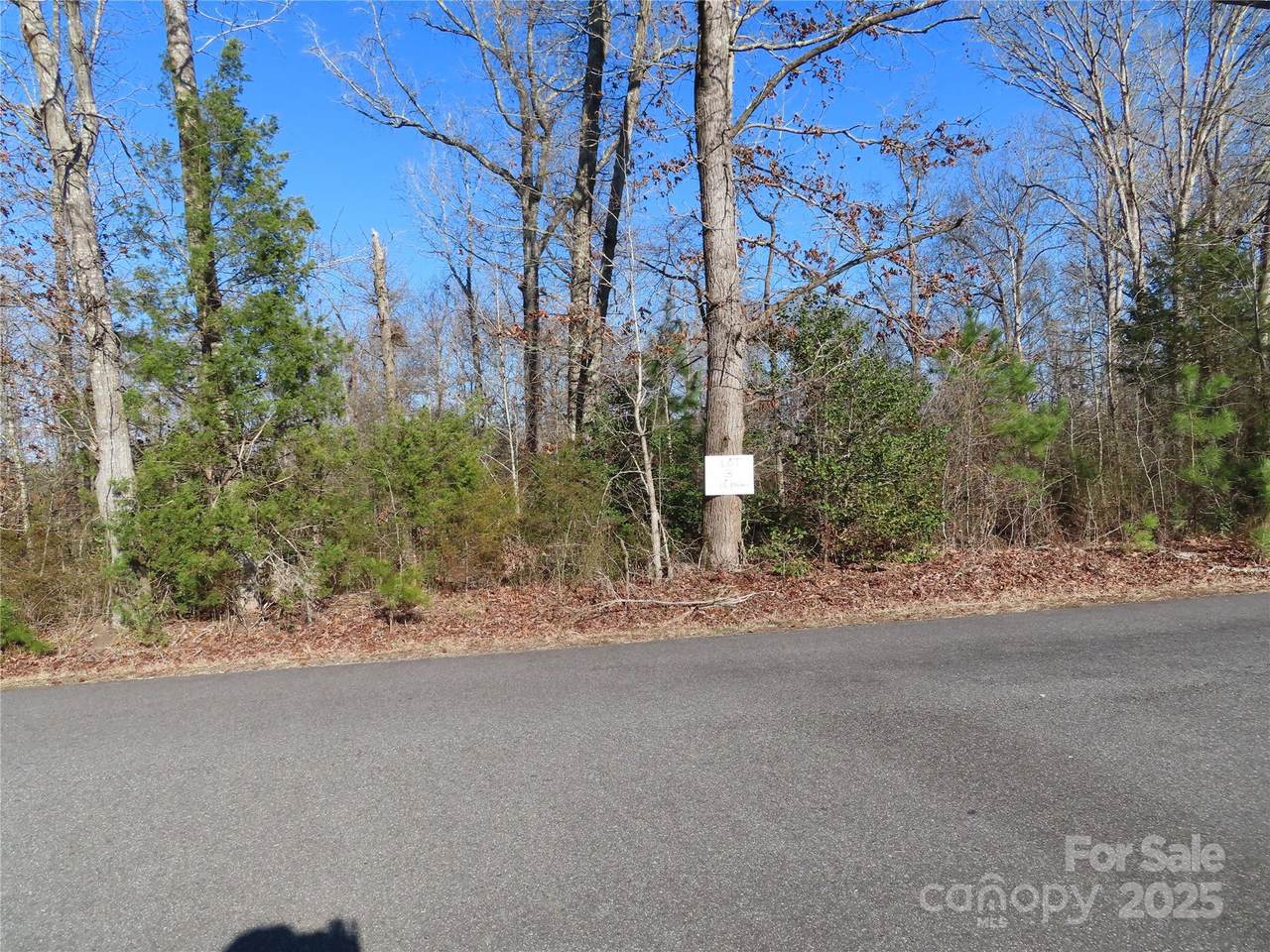 Lot 3 Winter Road - Photo 1