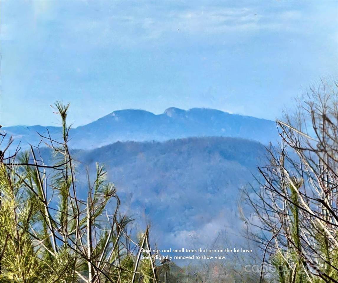 Lot 159 Rocky Falls Lane - Photo 1