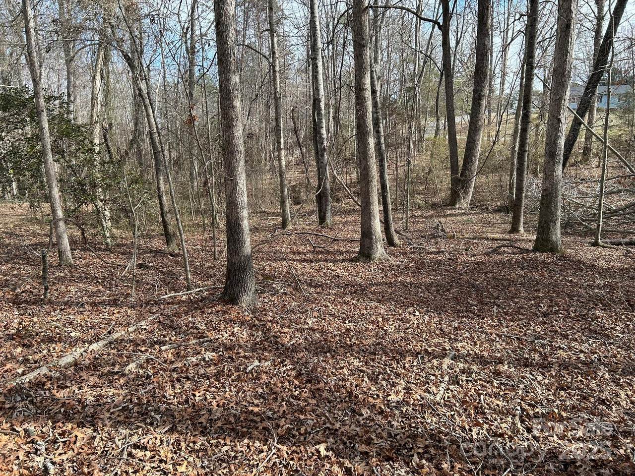 https://bt-photos.global.ssl.fastly.net/cmls/1280_boomver_1_4227119-1.jpg