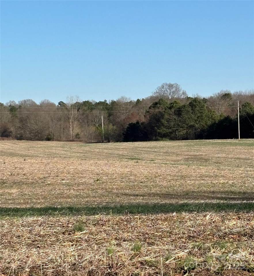 0 Monroe Ansonville Road - Photo 1