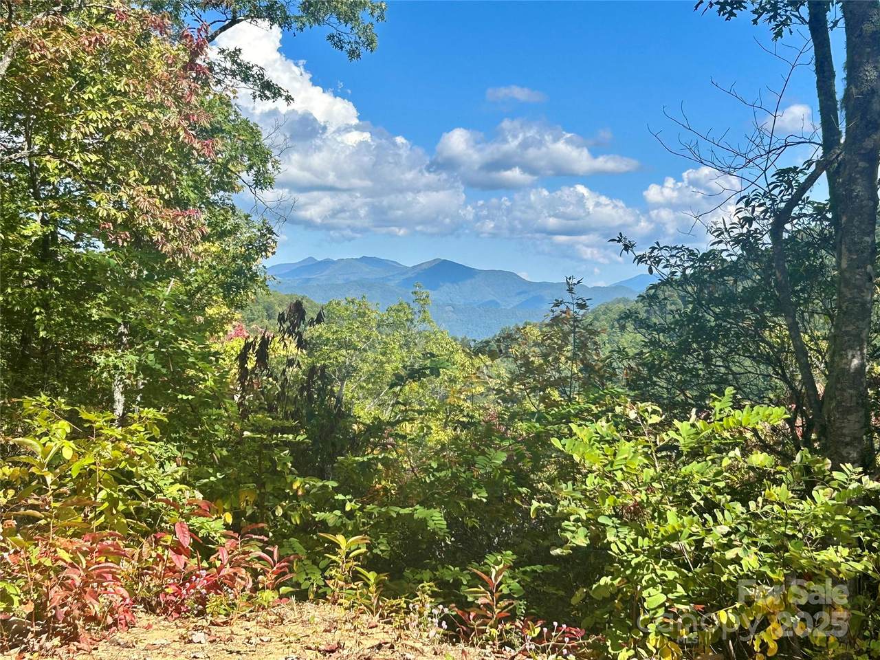 0 Middle Ridge - Photo 1