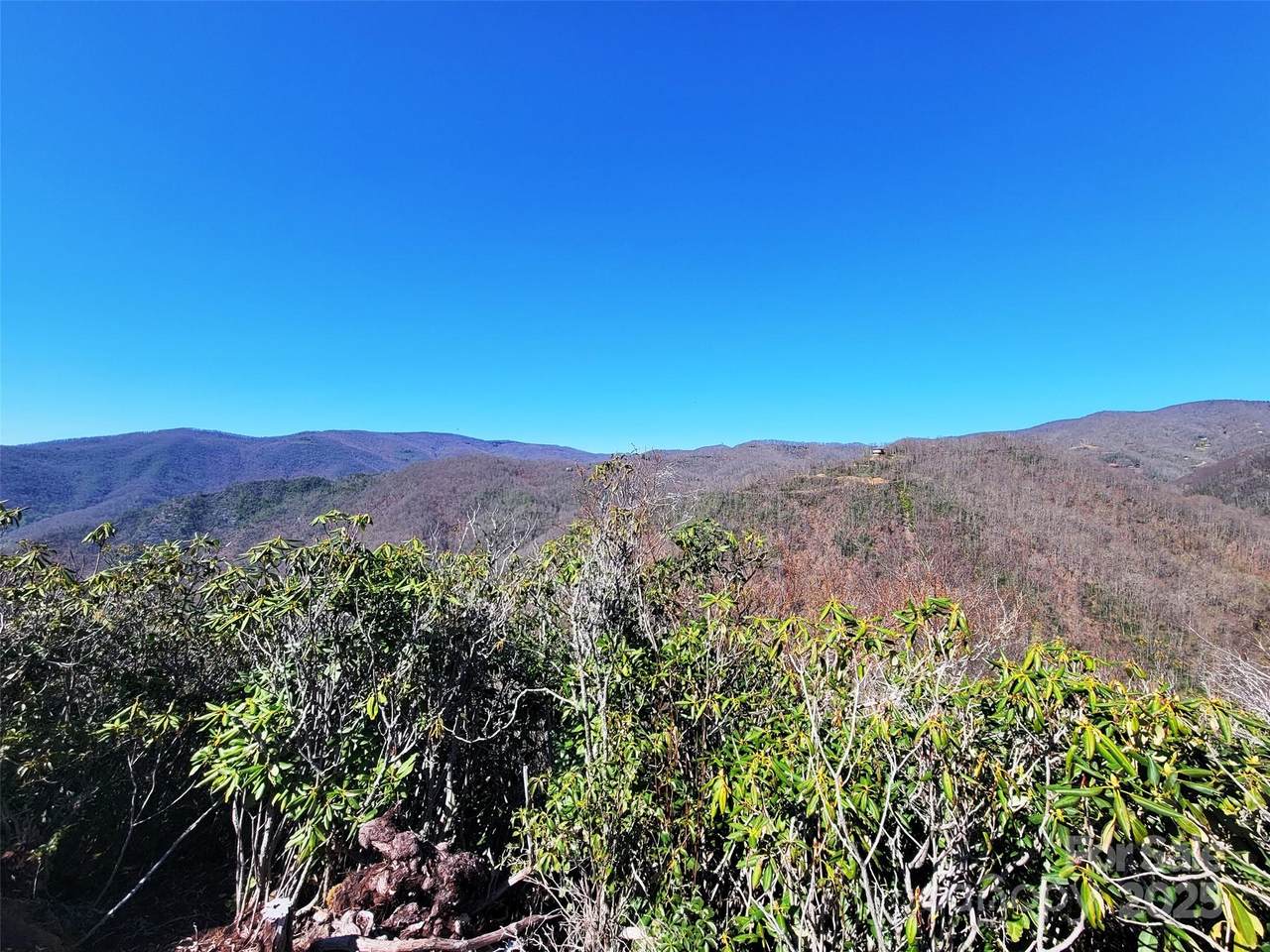 400 Bearwallow Ridge Trail - Photo 1