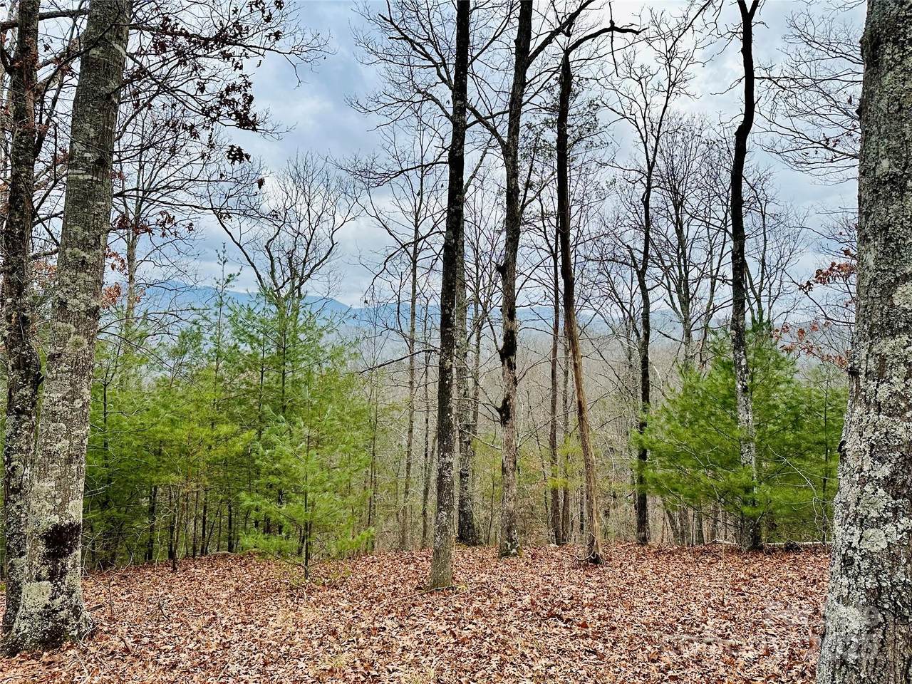 275 Raccoon Run - Photo 1