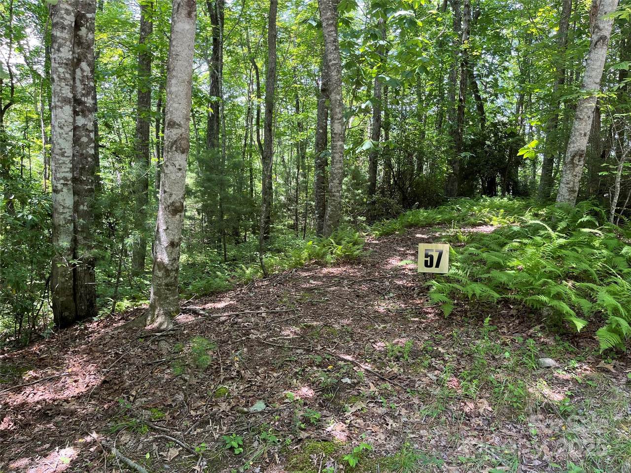 57 Big Branch Road - Photo 1