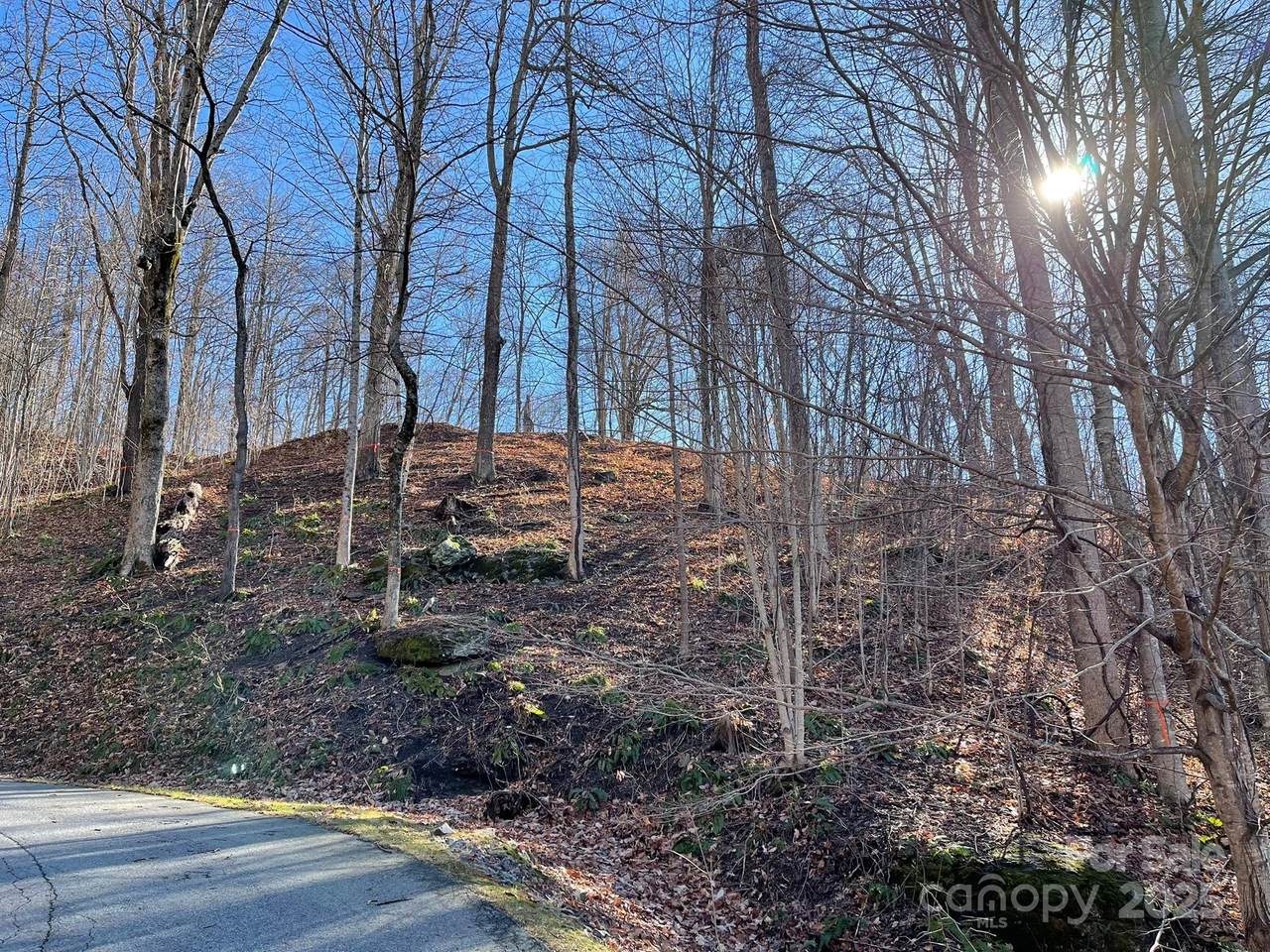 00 Weatherwatch Lane - Photo 1