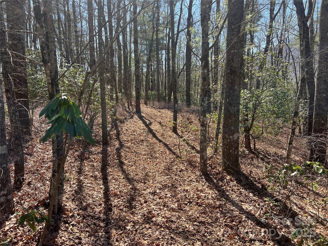 TBD Panther Ridge Road - Photo 1