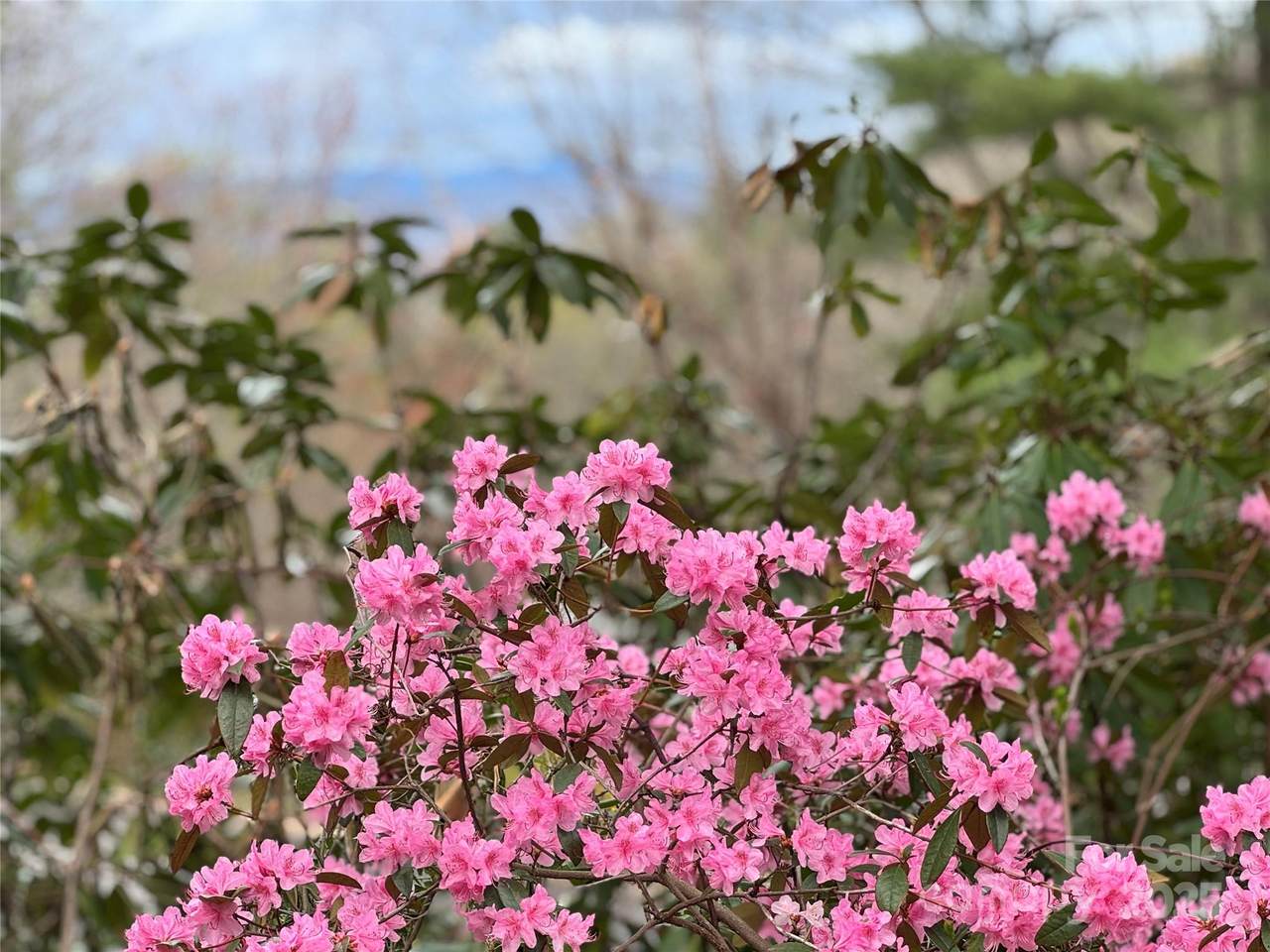 https://bt-photos.global.ssl.fastly.net/cmls/1280_boomver_1_4231161-1.jpg