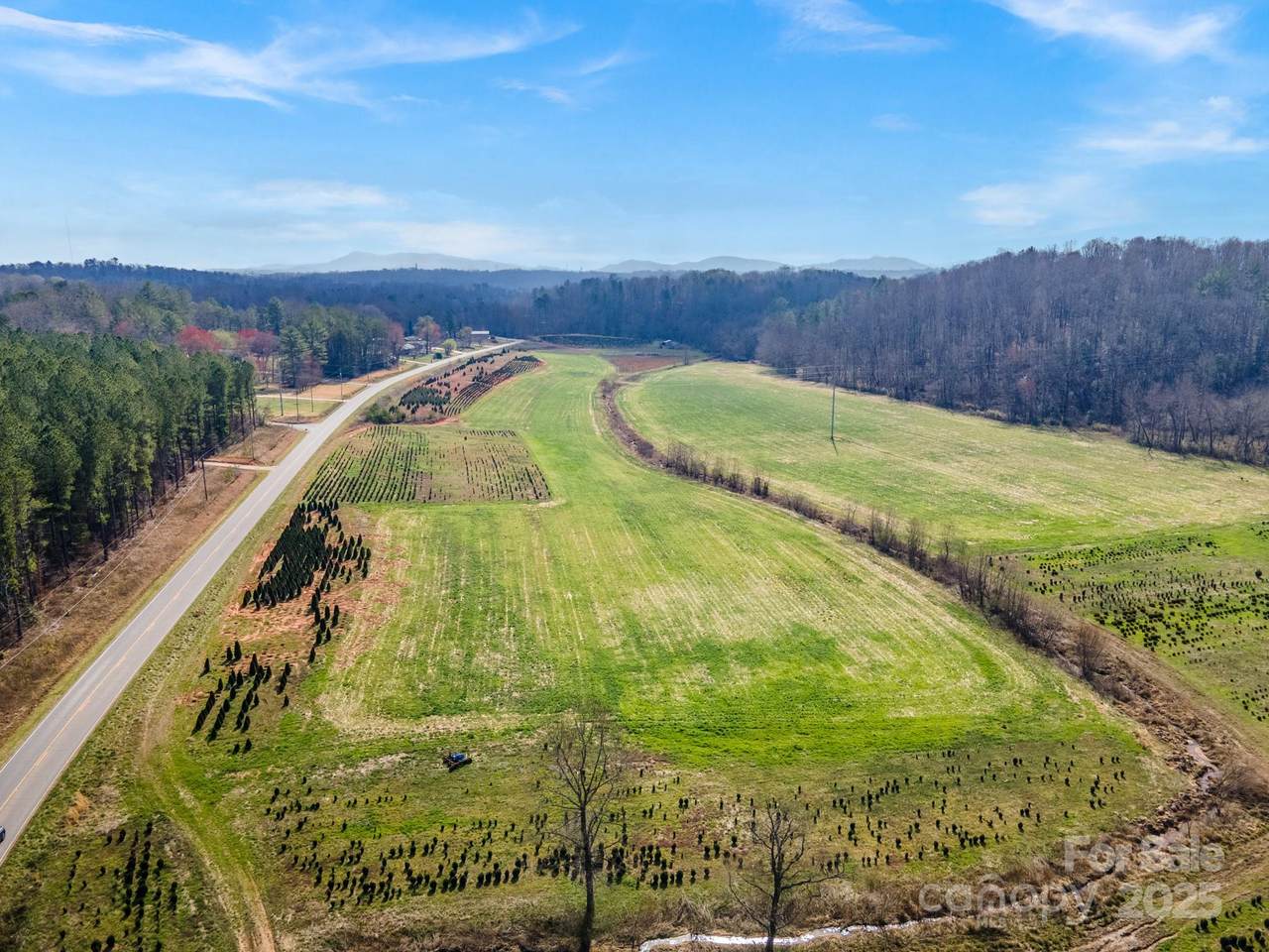 807 Nc 126 Highway - Photo 1