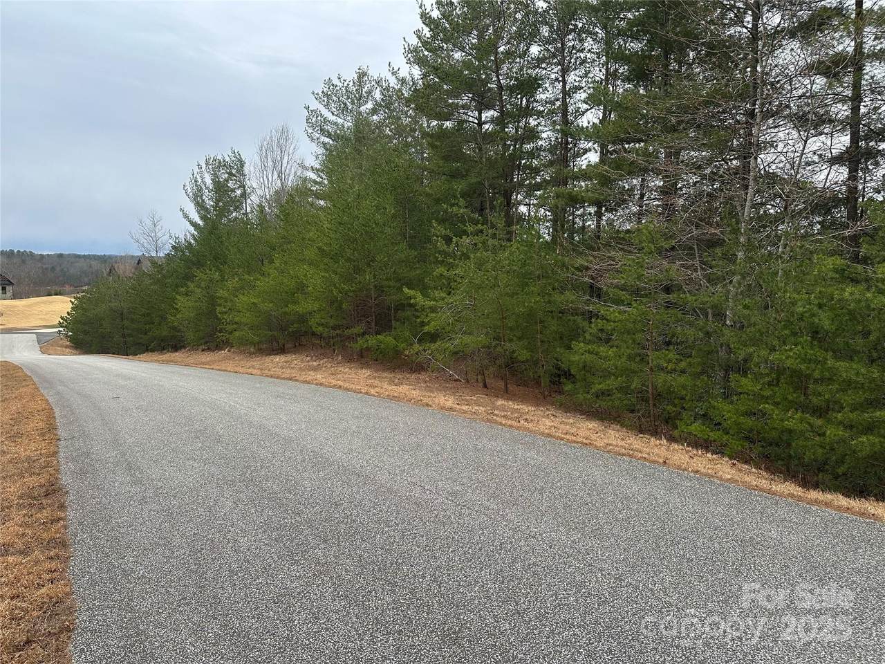 V/L Lake Crest Drive - Photo 1