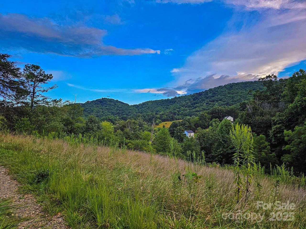 Lot 3 Murphy Cove Road - Photo 1