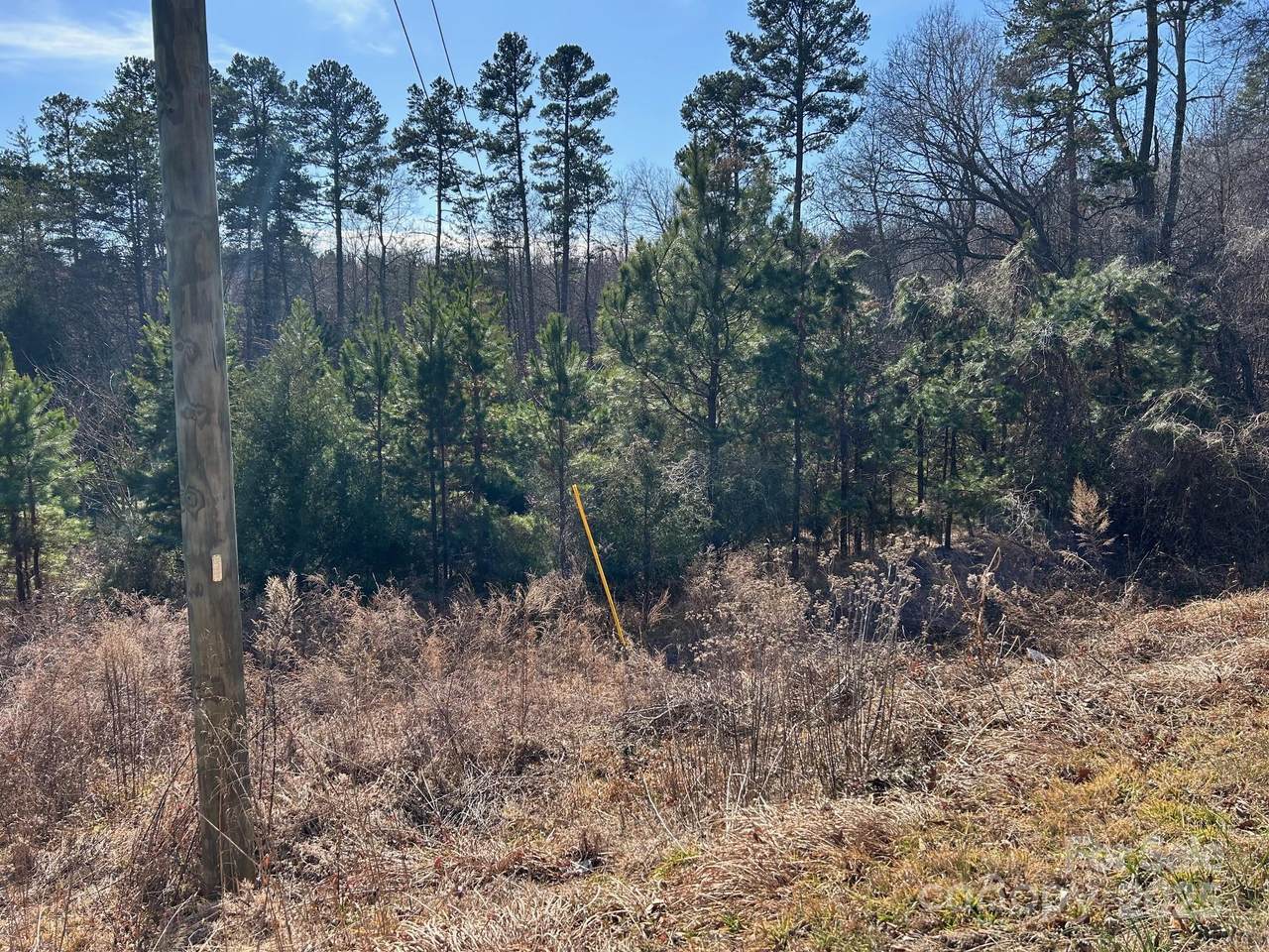670 Talley Road - Photo 1