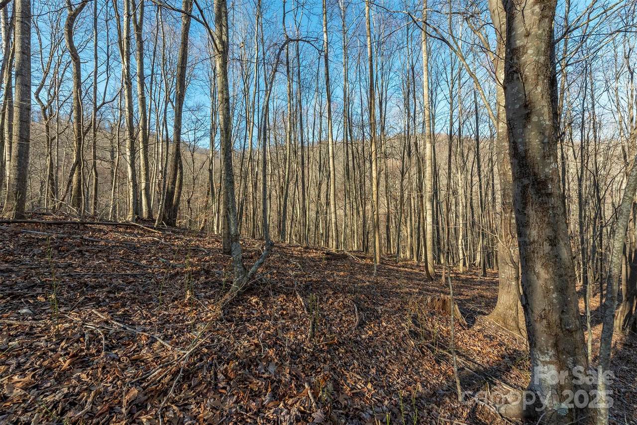 885 Stoney Stream Lane - Photo 1