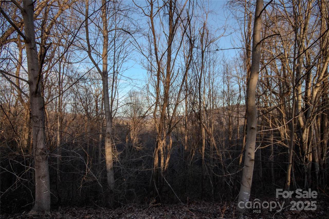 Lot# 22 Autumn Ridge - Photo 1