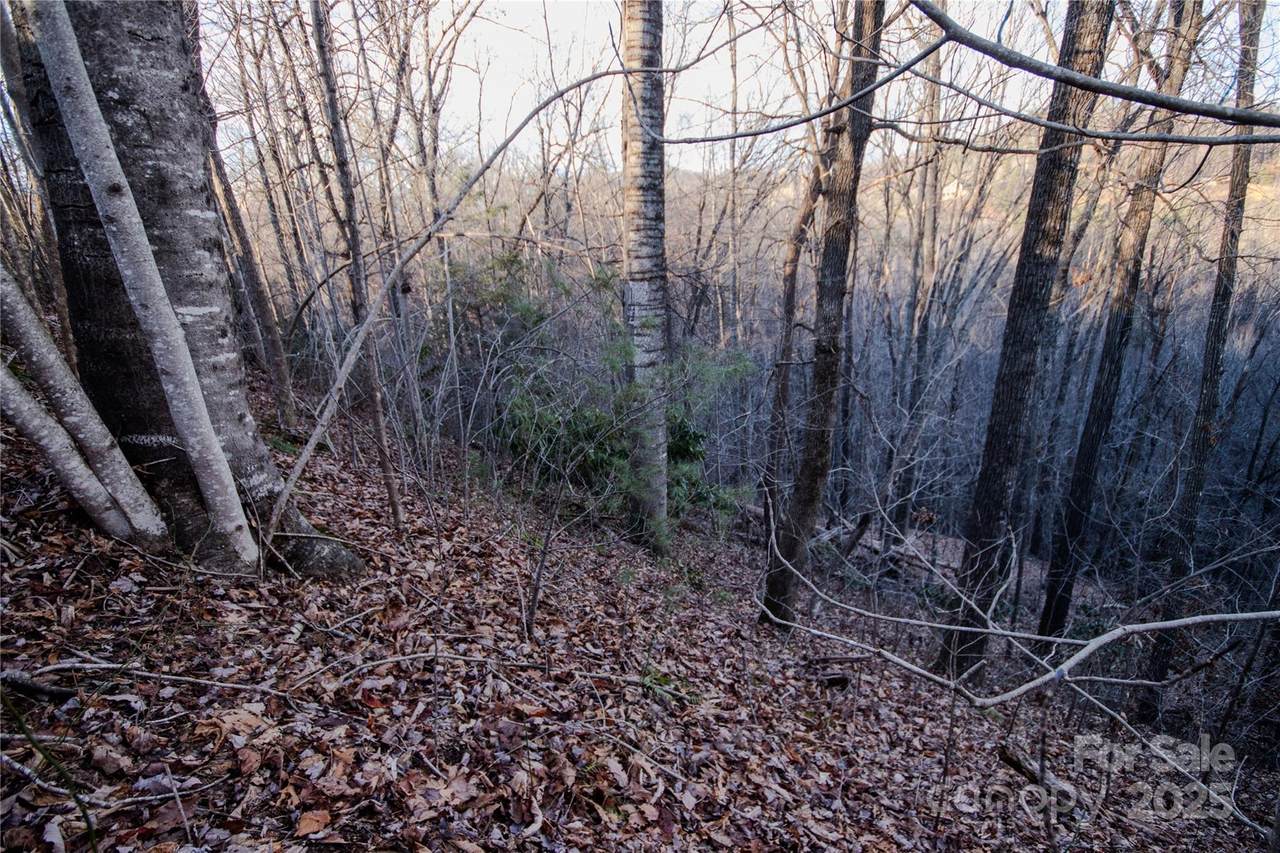 https://bt-photos.global.ssl.fastly.net/cmls/1280_boomver_1_4233602-1.jpg
