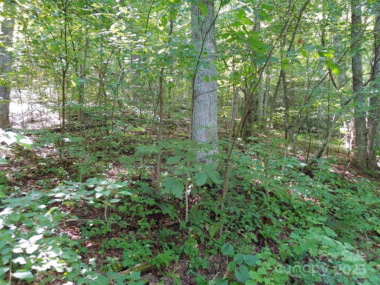 https://bt-photos.global.ssl.fastly.net/cmls/1280_boomver_1_4234752-1.jpg