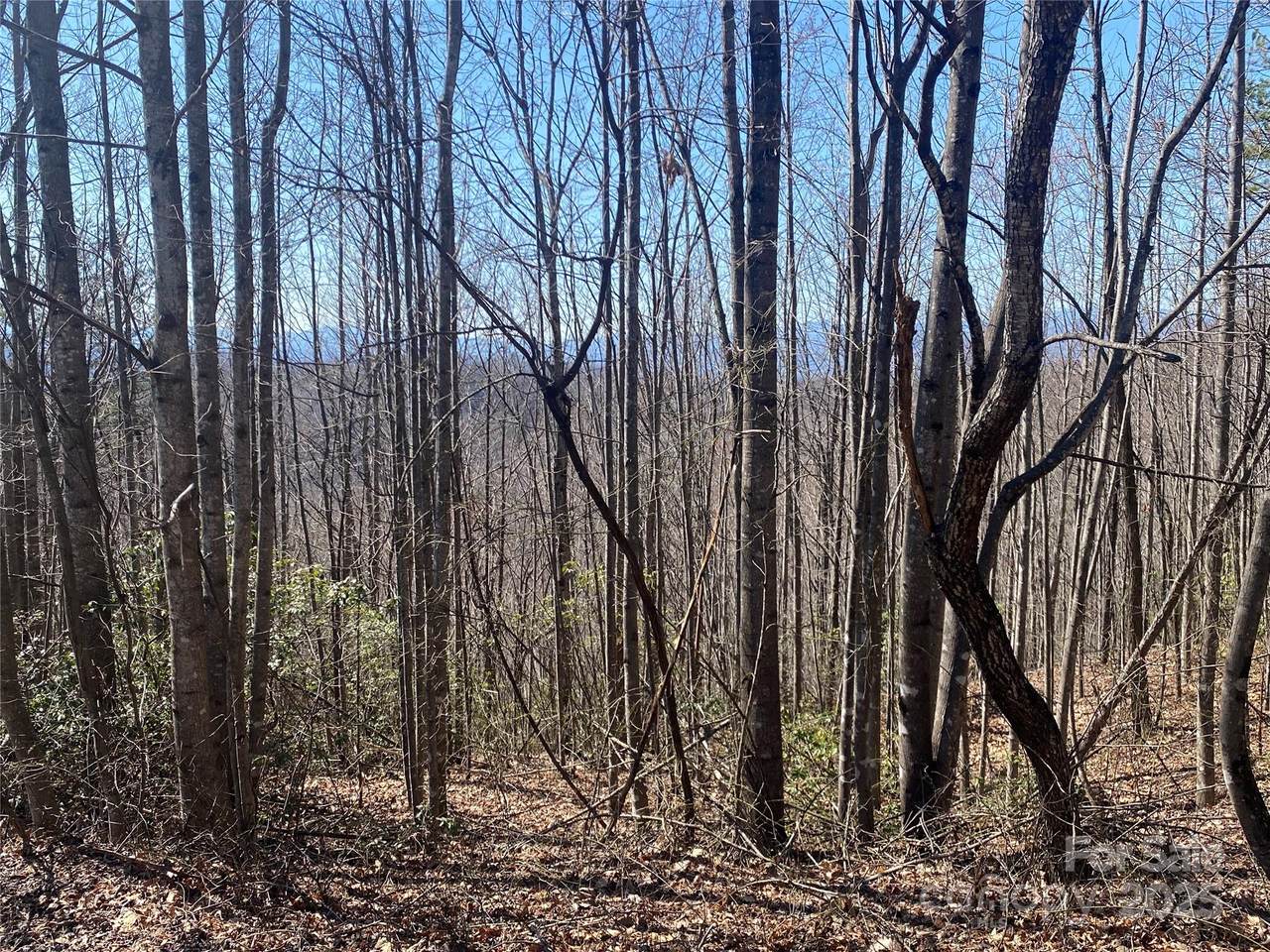 Lot 72 Mountain Crest Drive - Photo 1