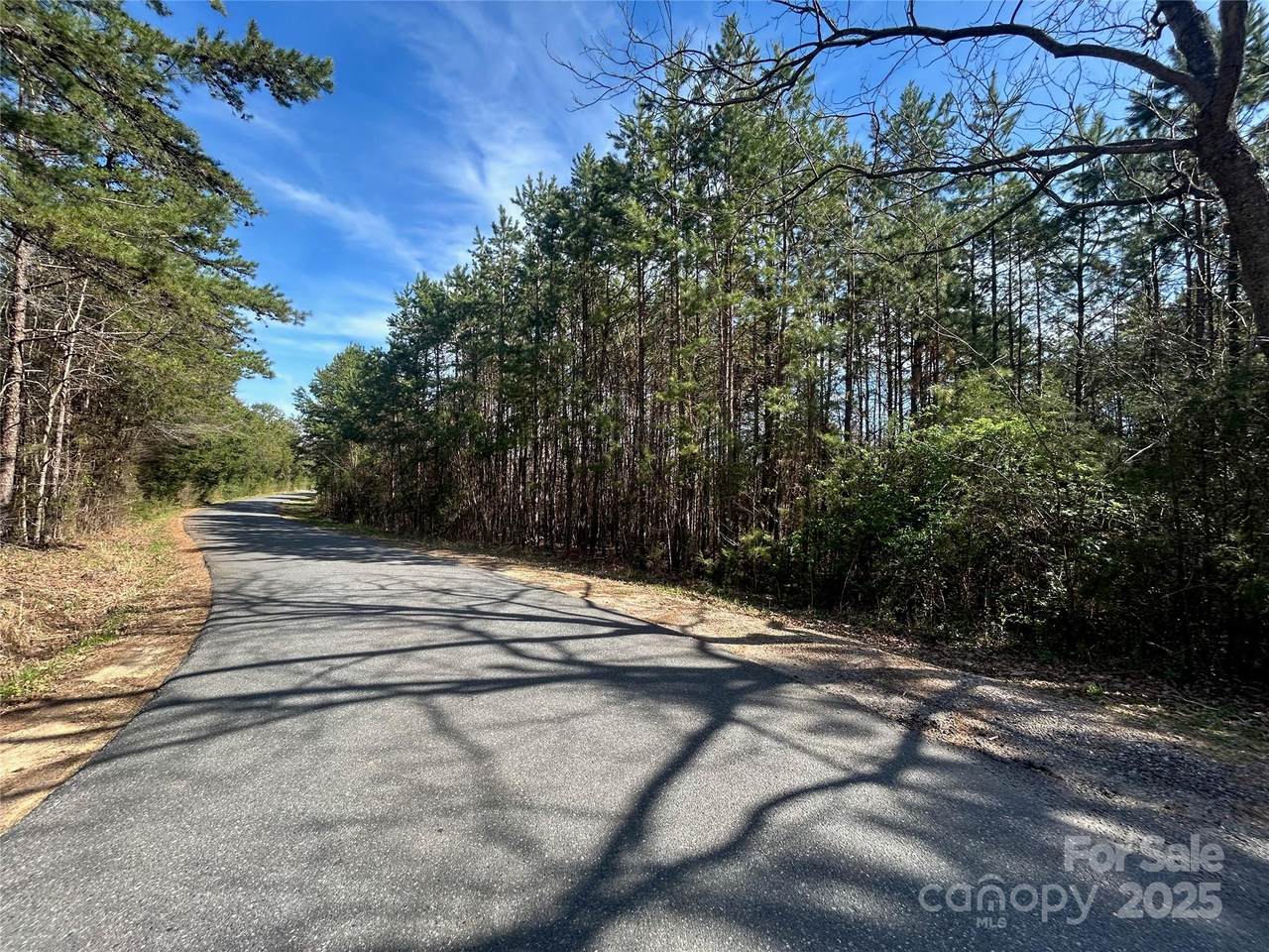 TBD Green Pond Road - Photo 1