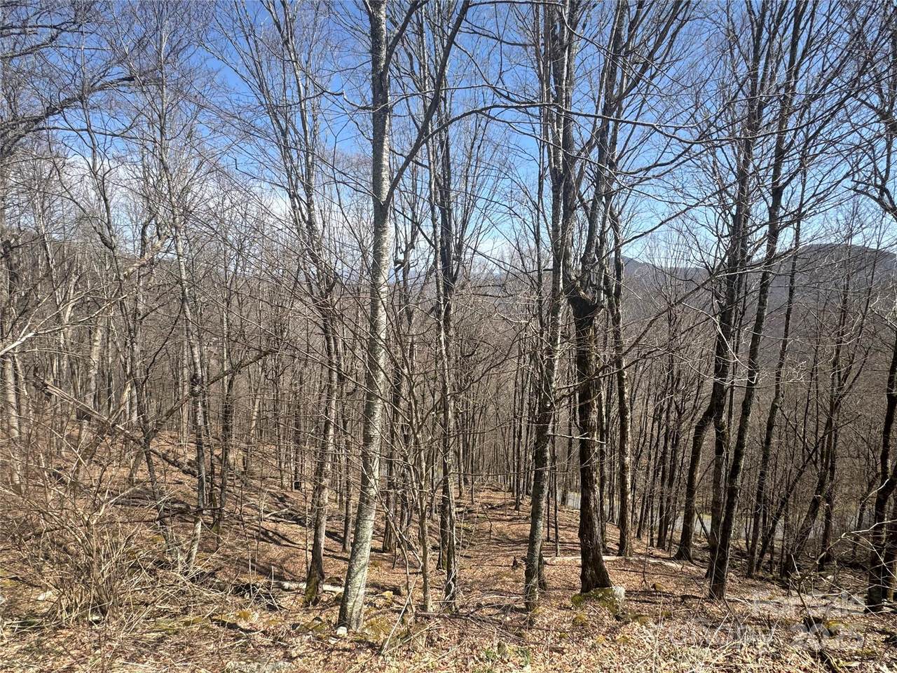 14 & 16 Overlook Drive - Photo 1