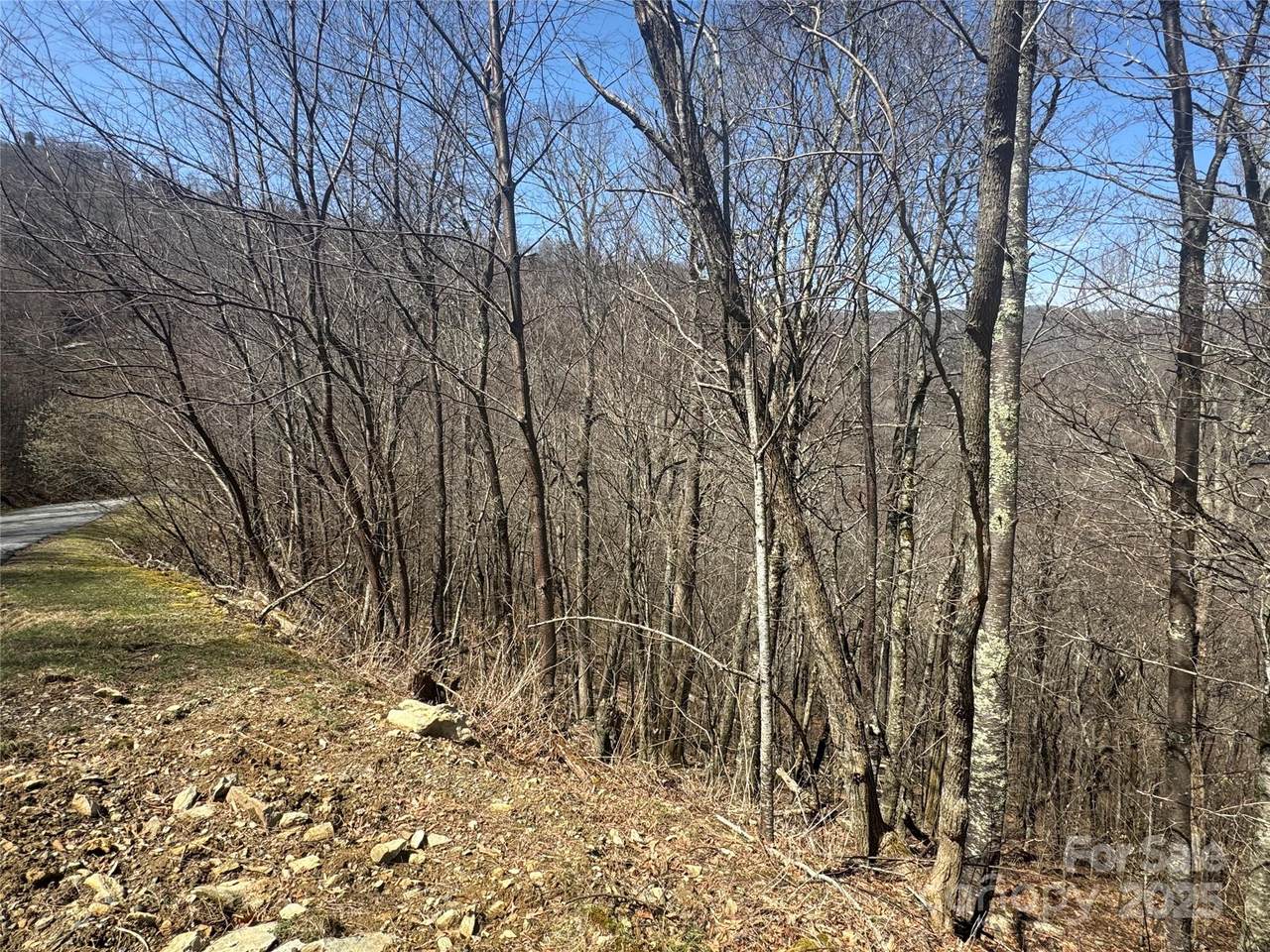 53 & 55 Running Cedar Drive - Photo 1