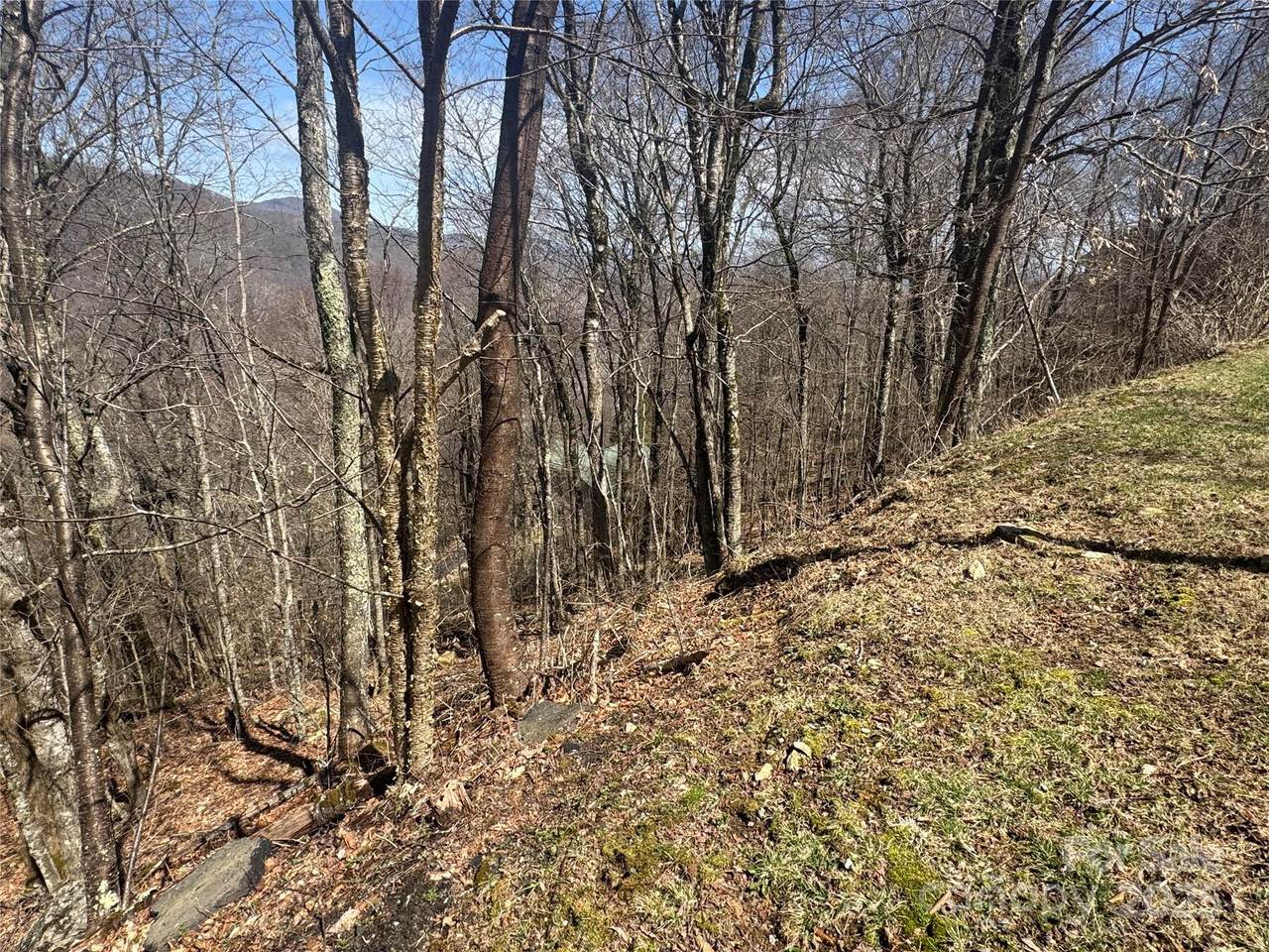https://bt-photos.global.ssl.fastly.net/cmls/1280_boomver_1_4235942-1.jpg