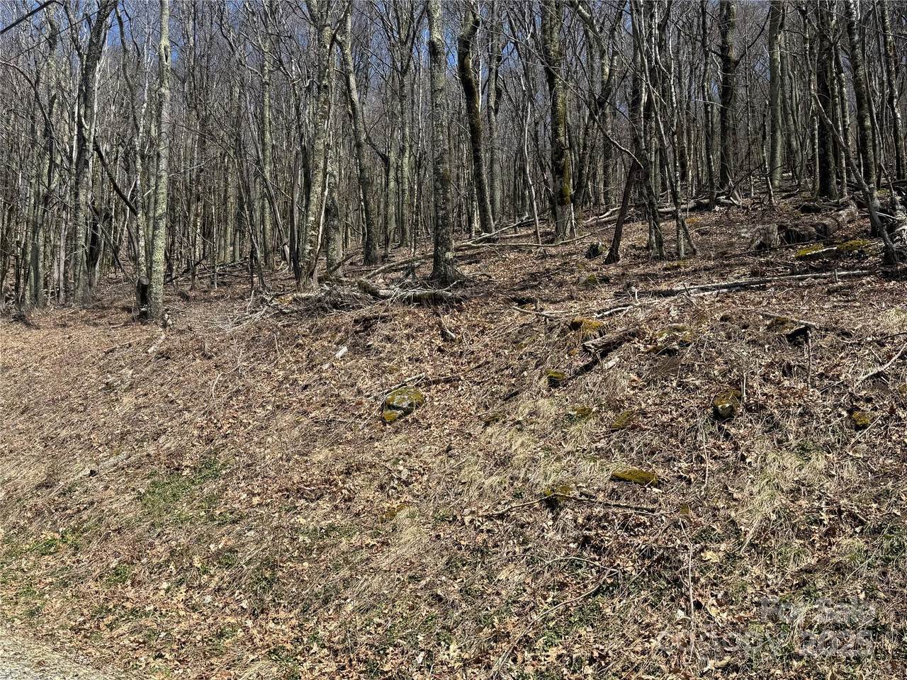 244 & 245 Grouse Thicket Lane - Photo 1