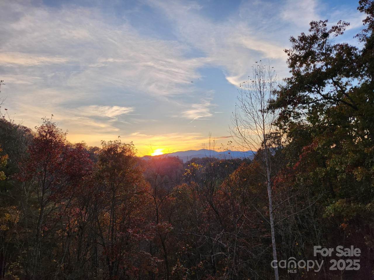 000 Scarlett Oak Ridge - Photo 1
