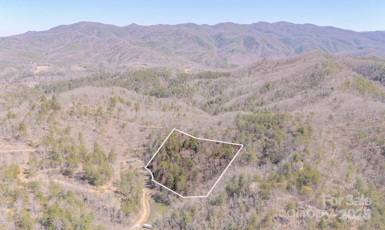 TBD Plum Tree Holler Drive - Photo 1