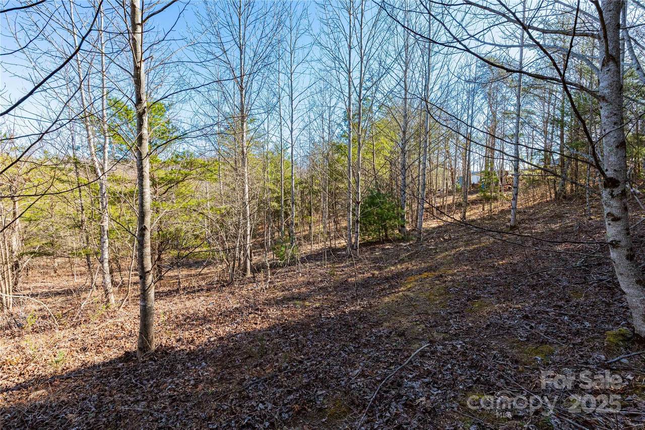 Lot 3 Summer Road - Photo 1