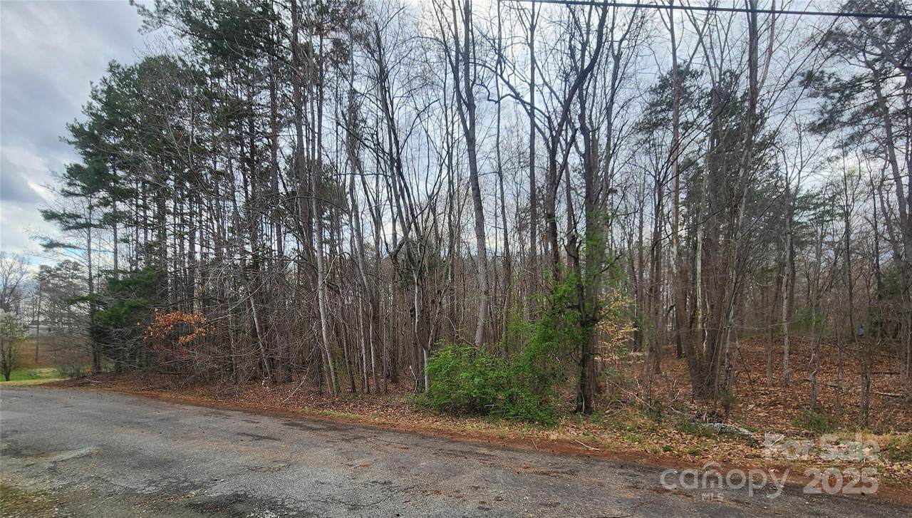 00 Lake Shore Avenue - Photo 1