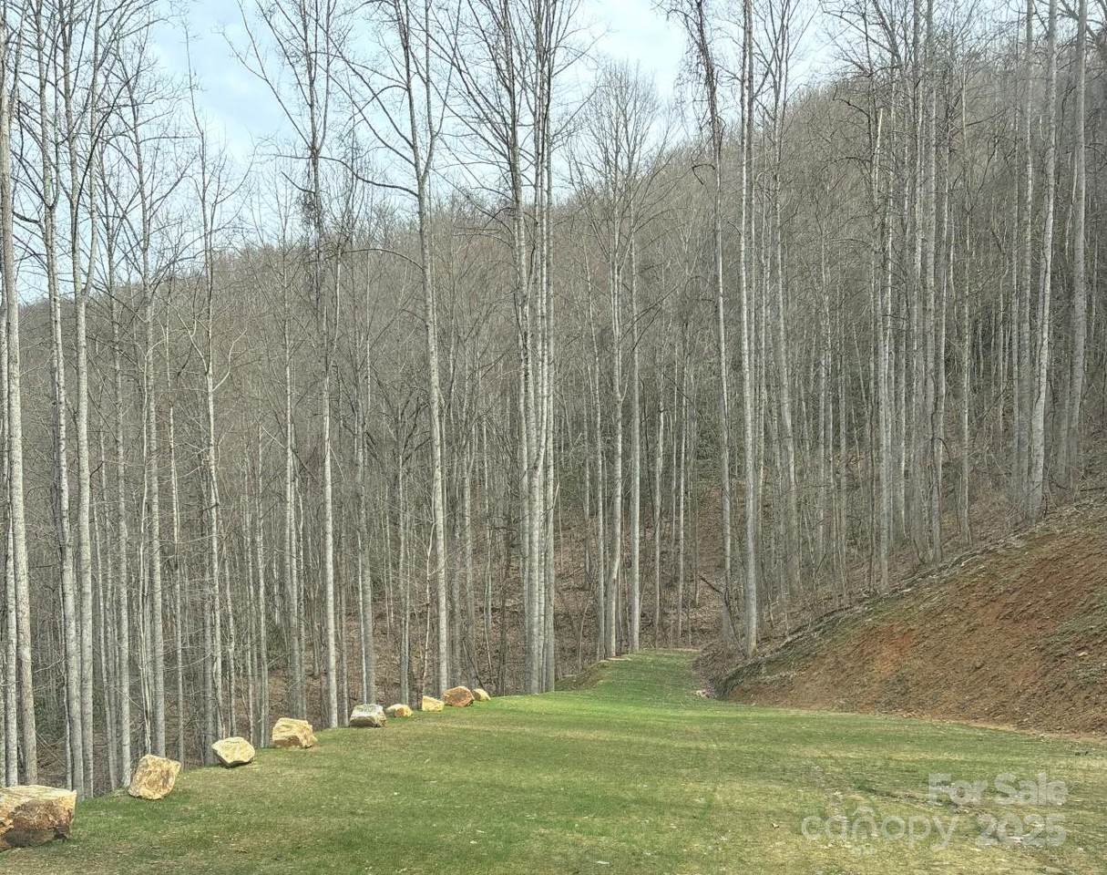 269 Flowering Ridge Road - Photo 1