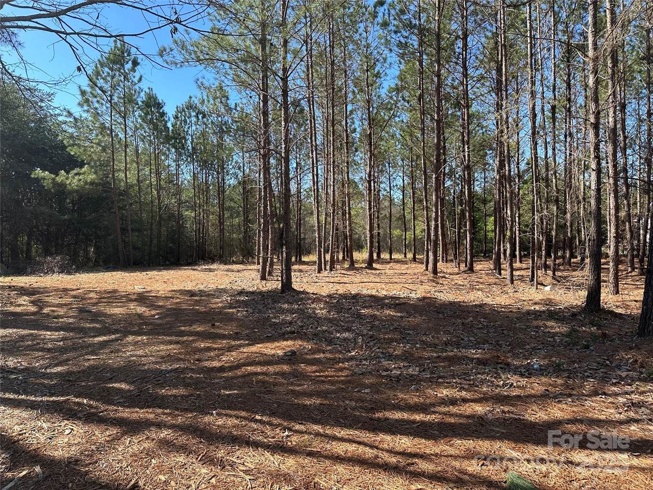 4339 East Maiden Road - Photo 1