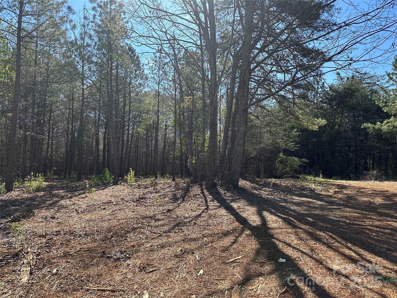 4313 East Maiden Road - Photo 1