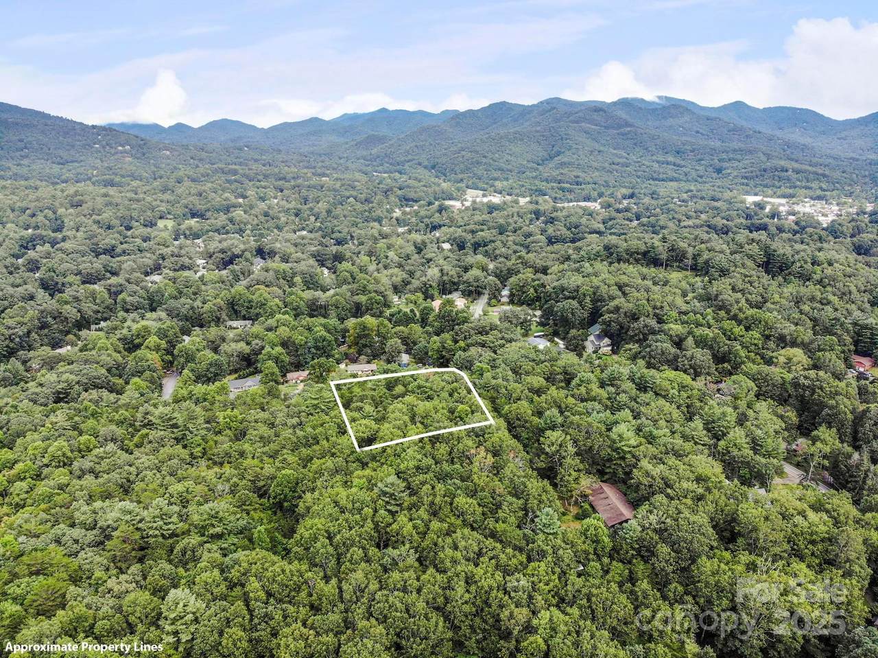 Lot 1 Chinquapin Hill - Photo 1
